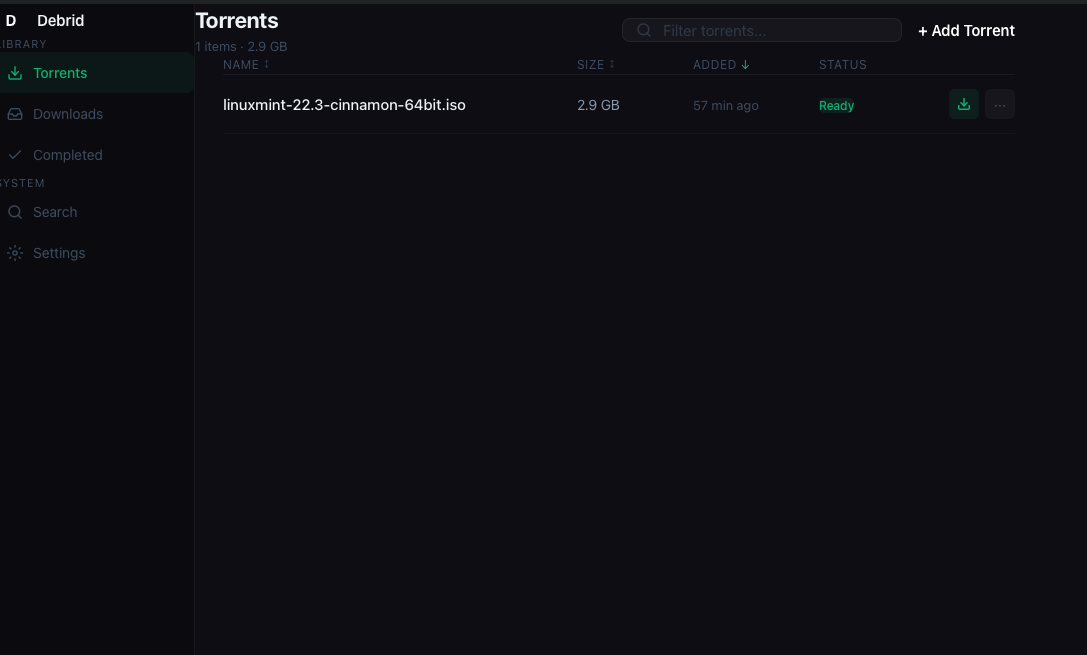 DebridDownloader app showing the torrents view with sidebar navigation, file list, and download status