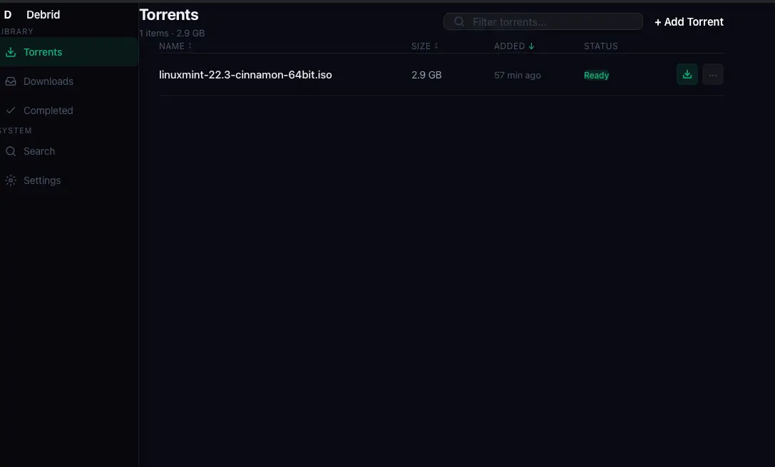 DebridDownloader screenshot